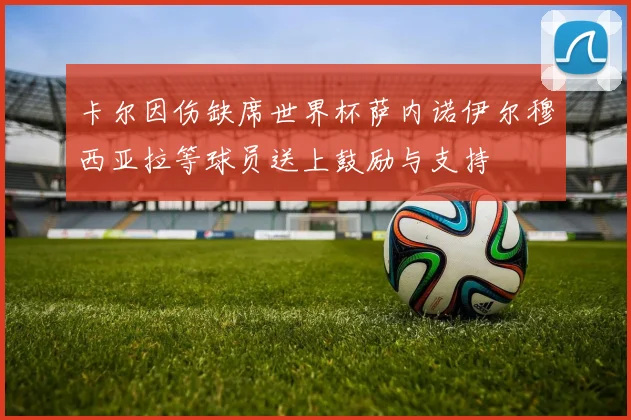 卡尔因伤缺席世界杯萨内诺伊尔穆西亚拉等球员送上鼓励与支持