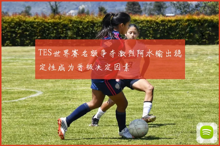 TES世界赛名额争夺激烈阿水输出稳定性成为晋级决定因素